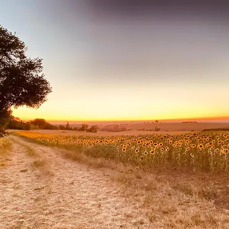 Château De Labatut *