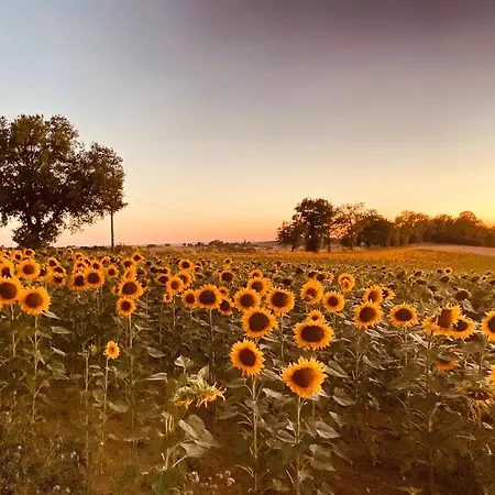 Chateau De Labatut Kır Evi Tourrenquets