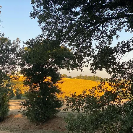Εξοχικό σπίτι Chateau De Labatut